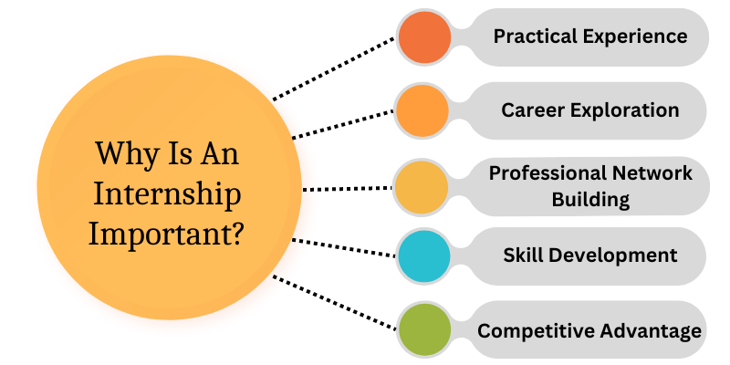 why an ai internship is important